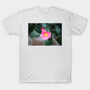 Pink Camellia Japonica T-Shirt